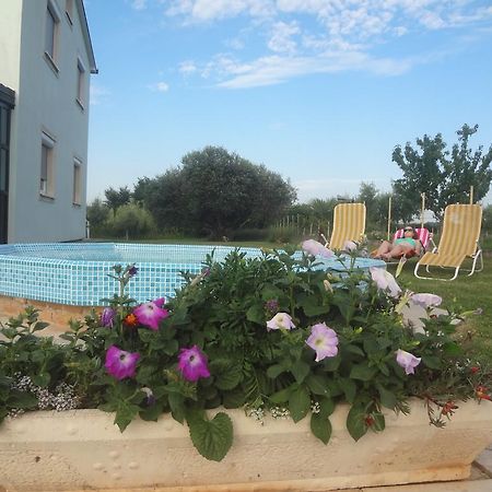 Apartments Zdravac Umag Extérieur photo